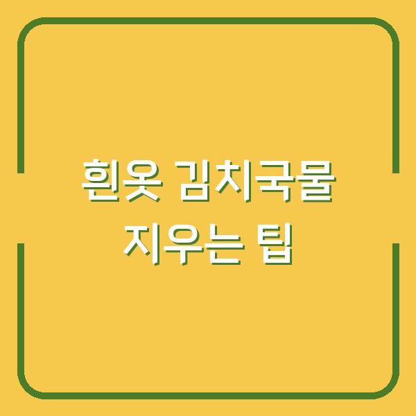 흰옷 김치국물 지우는 팁