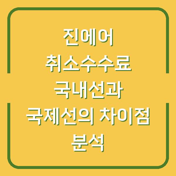 진에어 취소수수료 국내선과 국제선의 차이점 분석