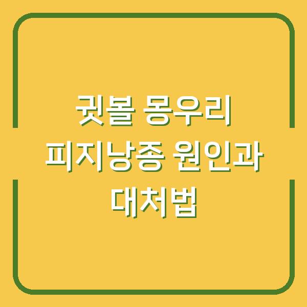 귓볼 몽우리 피지낭종 원인과 대처법