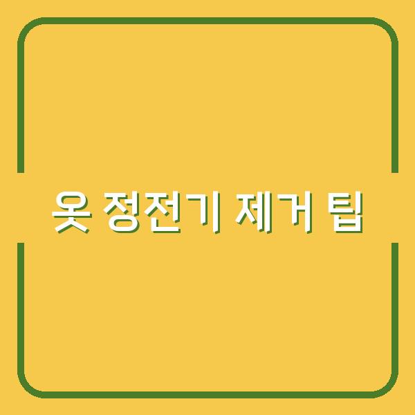 옷 정전기 제거 팁