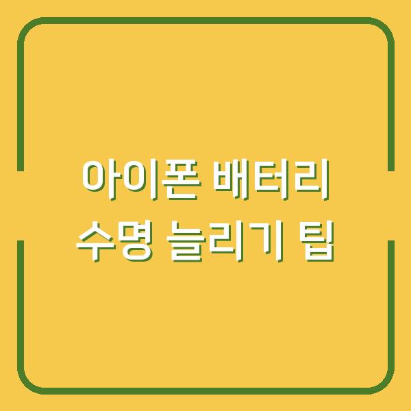 아이폰 배터리 수명 늘리기 팁