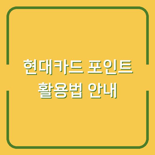 현대카드 포인트 활용법 안내