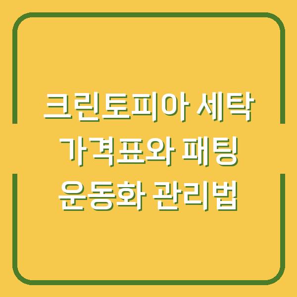 크린토피아 세탁 가격표와 패팅 운동화 관리법