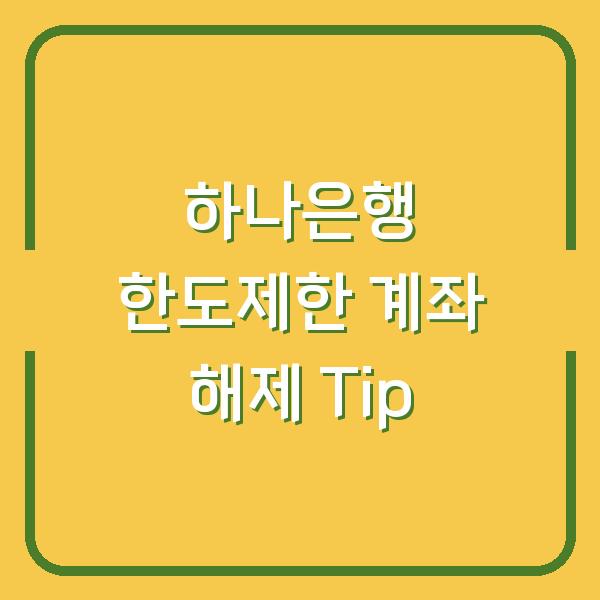 하나은행 한도제한 계좌 해제 Tip