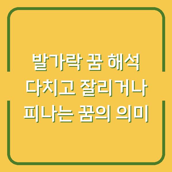 발가락 꿈 해석 다치고 잘리거나 피나는 꿈의 의미