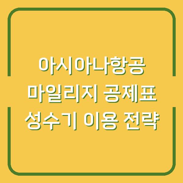 아시아나항공 마일리지 공제표 성수기 이용 전략