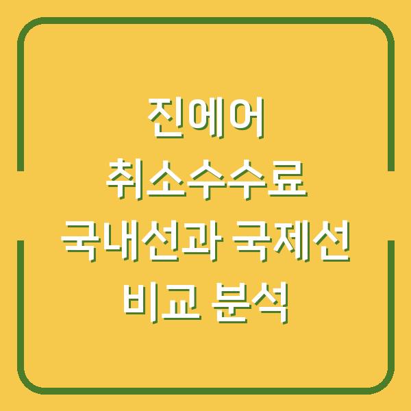 진에어 취소수수료 국내선과 국제선 비교 분석