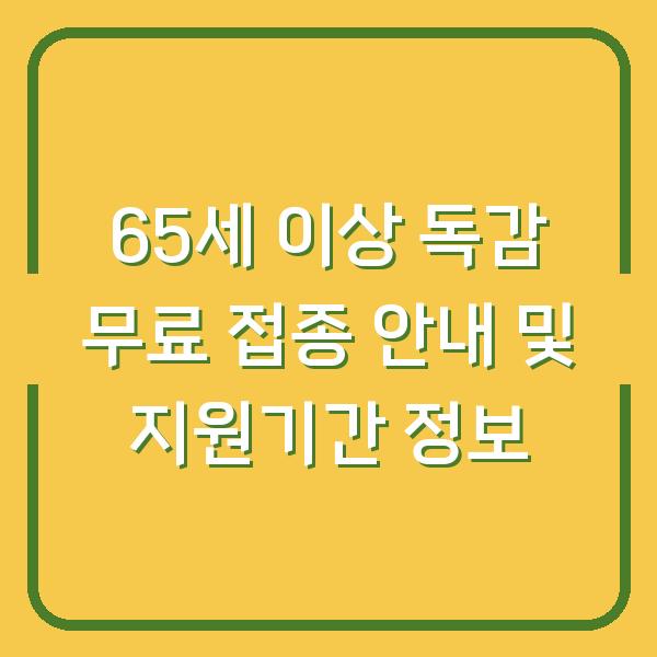 65세 이상 독감 무료 접종 안내 및 지원기간 정보