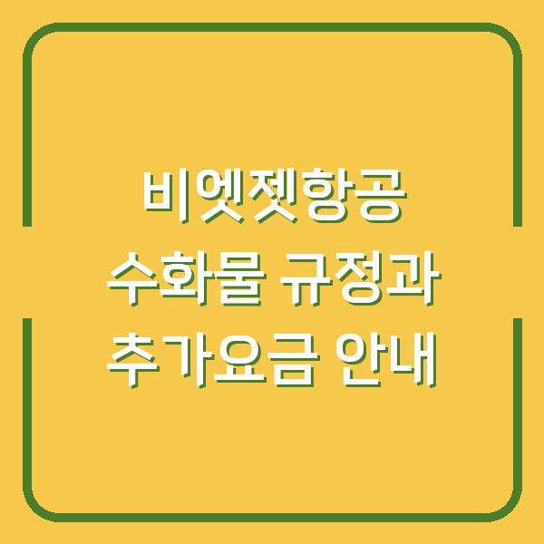 비엣젯항공 수화물 규정과 추가요금 안내