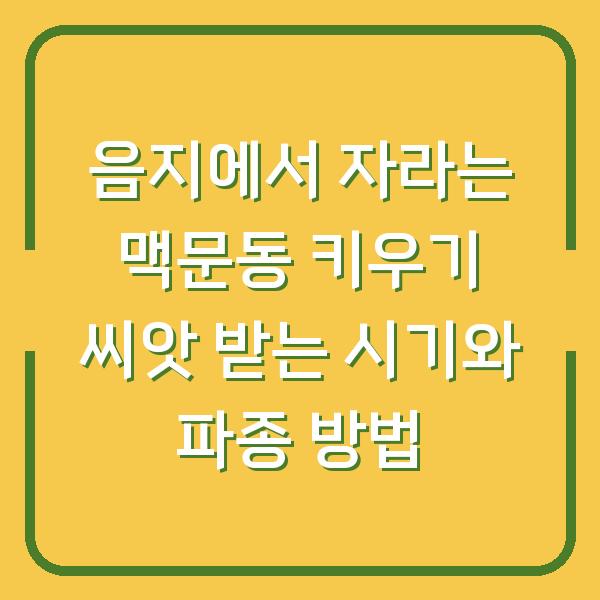 음지에서 자라는 맥문동 키우기 씨앗 받는 시기와 파종 방법