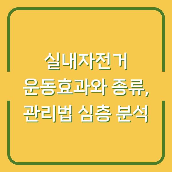 실내자전거 운동효과와 종류, 관리법 심층 분석