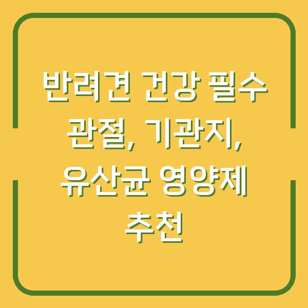 반려견 건강 필수 관절, 기관지, 유산균 영양제 추천