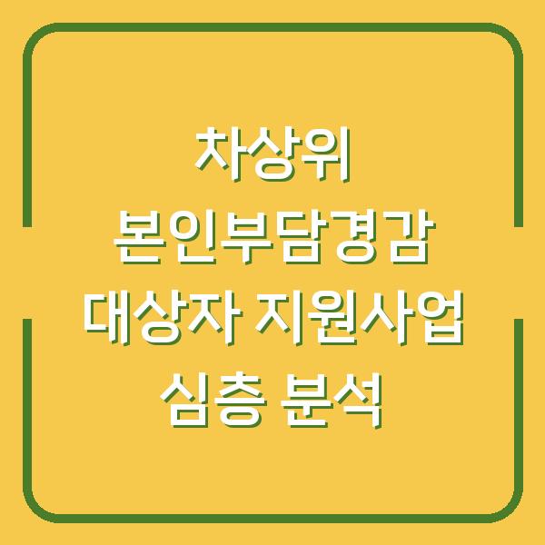 차상위 본인부담경감 대상자 지원사업 심층 분석