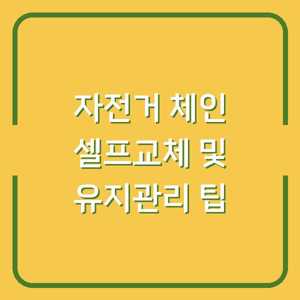 자전거 체인 셀프교체 및 유지관리 팁