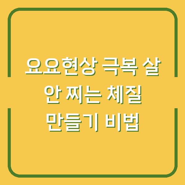 요요현상 극복 살 안 찌는 체질 만들기 비법