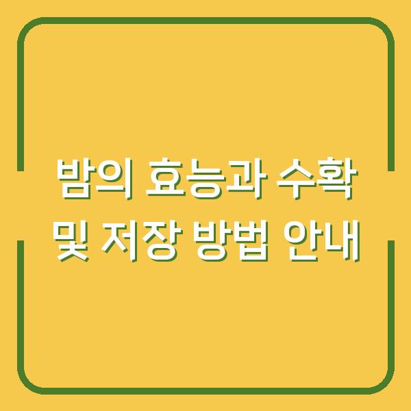 밤의 효능과 수확 및 저장 방법 안내