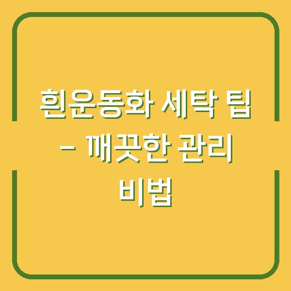 흰운동화 세탁 팁 – 깨끗한 관리 비법