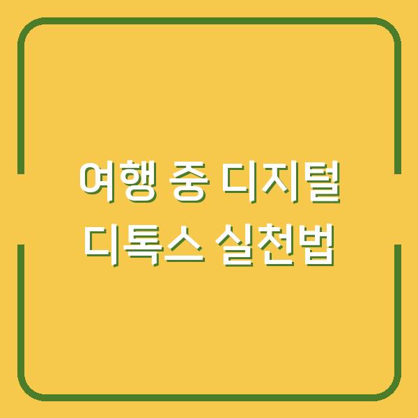 여행 중 디지털 디톡스 실천법