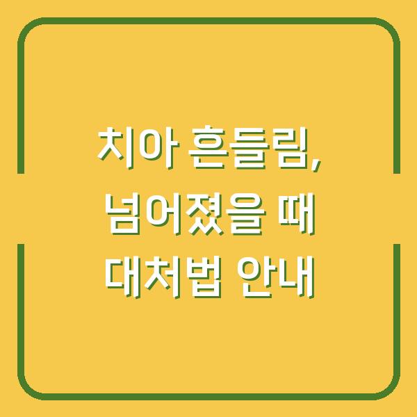 치아 흔들림, 넘어졌을 때 대처법 안내