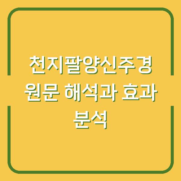 천지팔양신주경 원문 해석과 효과 분석