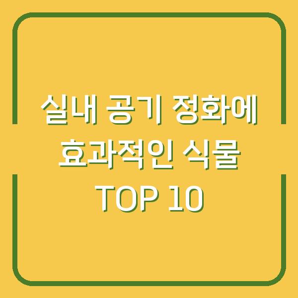실내 공기 정화에 효과적인 식물 TOP 10