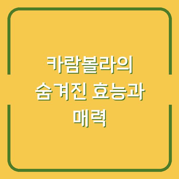카람볼라의 숨겨진 효능과 매력