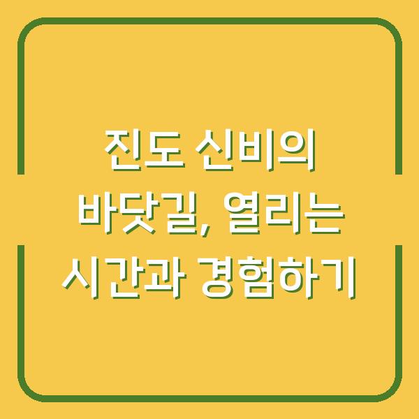 진도 신비의 바닷길, 열리는 시간과 경험하기
