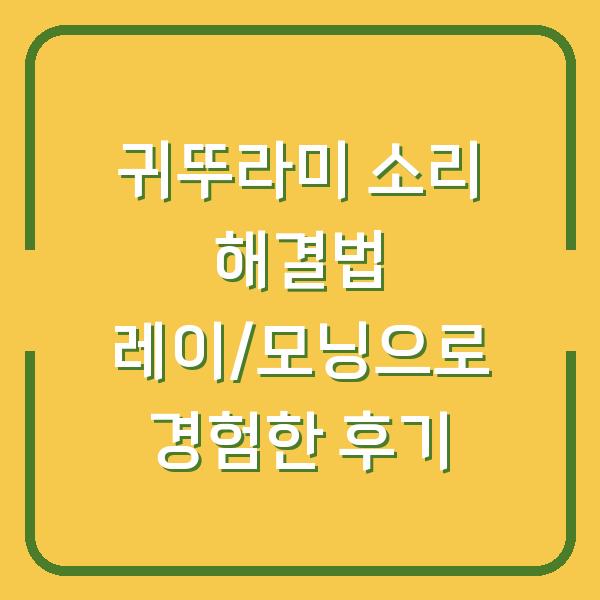 귀뚜라미 소리 해결법 레이/모닝으로 경험한 후기
