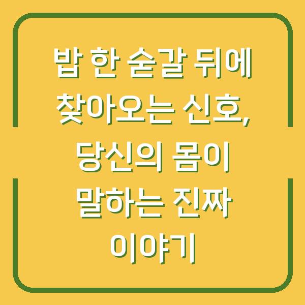 밥 한 숟갈 뒤에 찾아오는 신호, 당신의 몸이 말하는 진짜 이야기