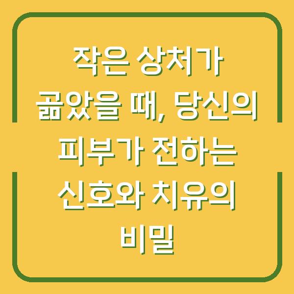 작은 상처가 곪았을 때, 당신의 피부가 전하는 신호와 치유의 비밀