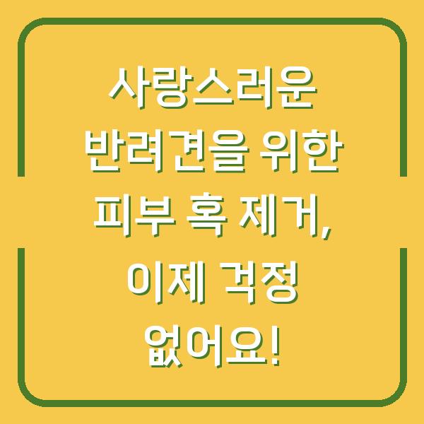 사랑스러운 반려견을 위한 피부 혹 제거, 이제 걱정 없어요!