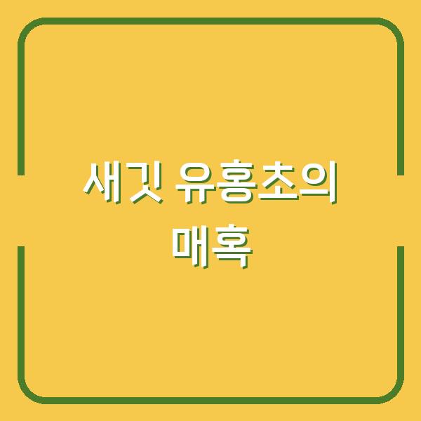 새깃 유홍초의 매혹