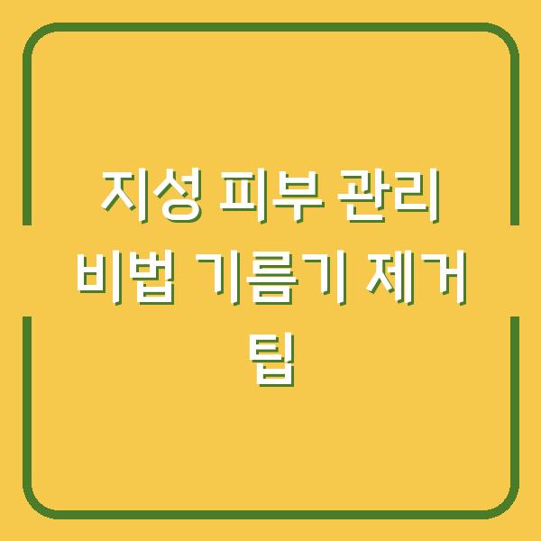 지성 피부 관리 비법 기름기 제거 팁