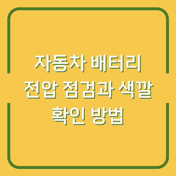 자동차 배터리 전압 점검과 색깔 확인 방법