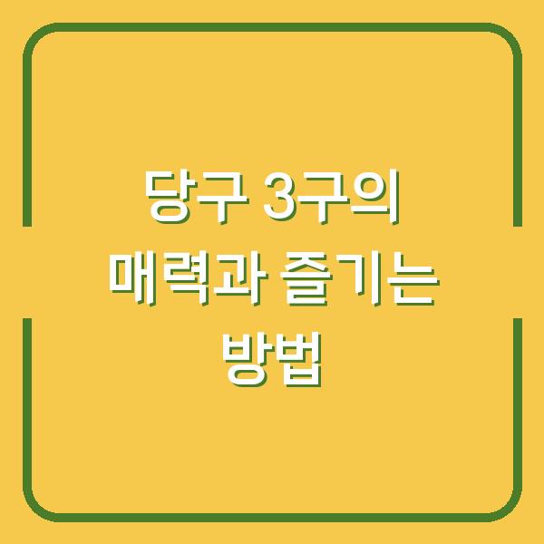 당구 3구의 매력과 즐기는 방법