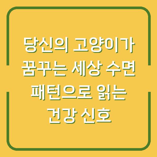 당신의 고양이가 꿈꾸는 세상 수면 패턴으로 읽는 건강 신호