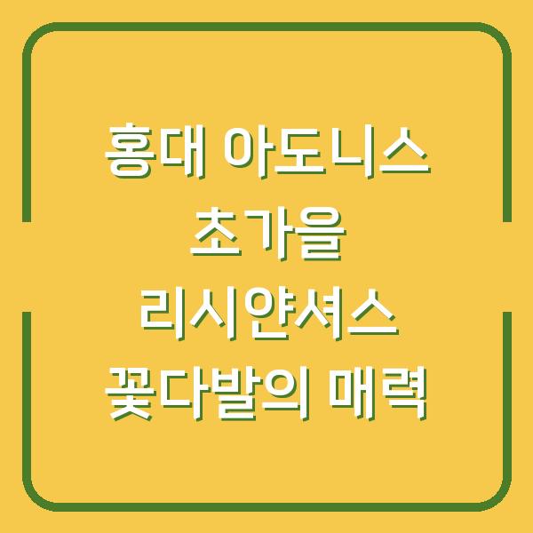 홍대 아도니스 초가을 리시얀셔스 꽃다발의 매력