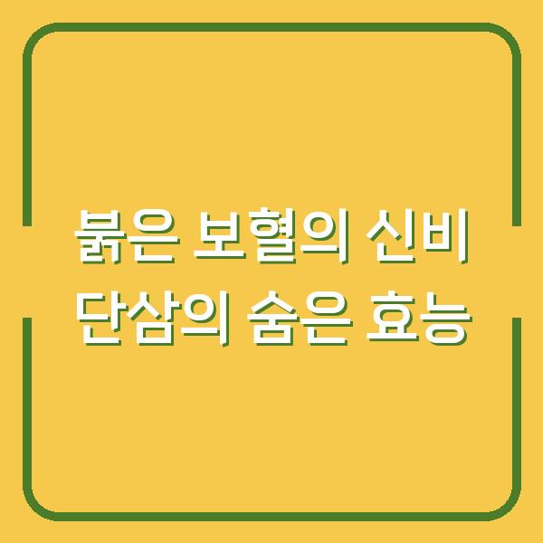 붉은 보혈의 신비 단삼의 숨은 효능