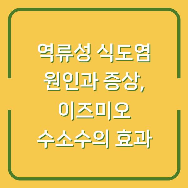 역류성 식도염 원인과 증상, 이즈미오 수소수의 효과