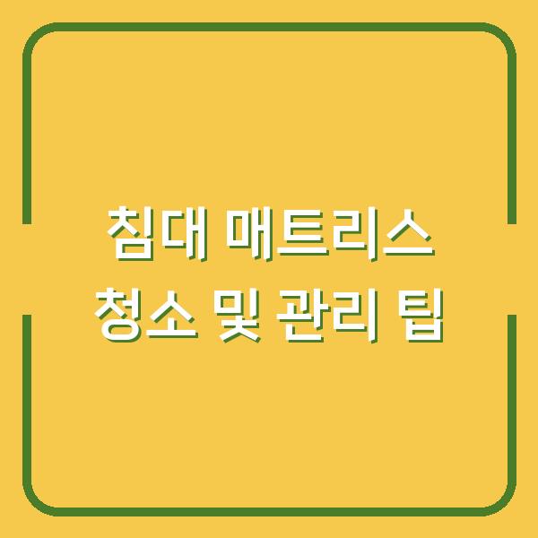 침대 매트리스 청소 및 관리 팁