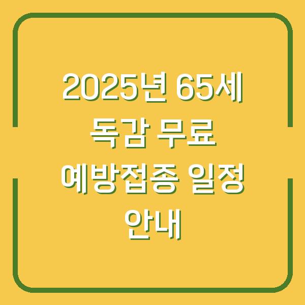 2025년 65세 독감 무료 예방접종 일정 안내