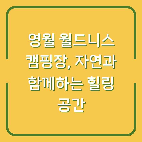 영월 월드니스 캠핑장, 자연과 함께하는 힐링 공간