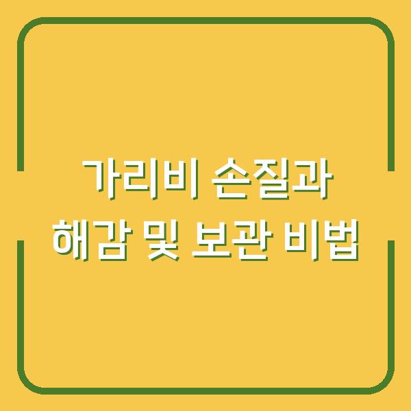 가리비 손질과 해감 및 보관 비법