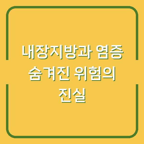 내장지방과 염증 숨겨진 위험의 진실