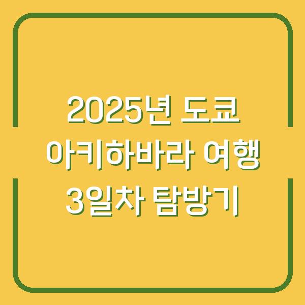2025년 도쿄 아키하바라 여행 3일차 탐방기