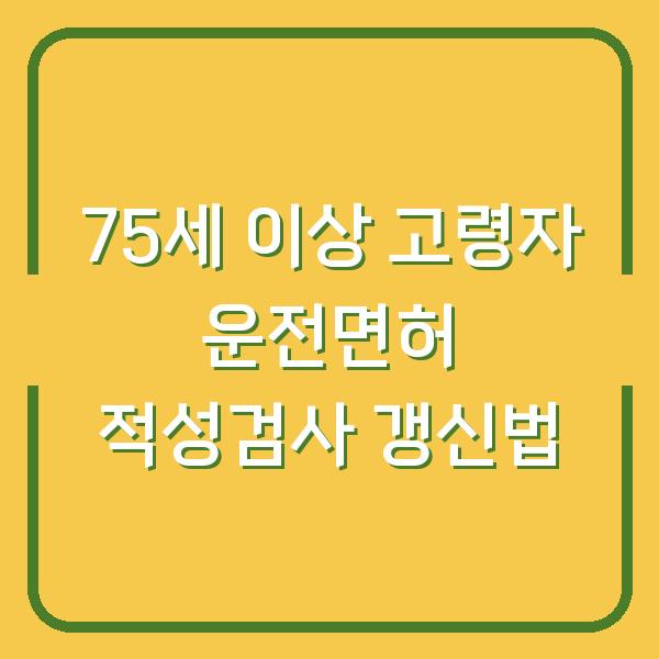 75세 이상 고령자 운전면허 적성검사 갱신법