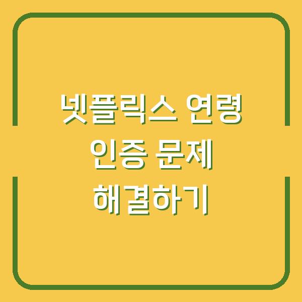 넷플릭스 연령 인증 문제 해결하기