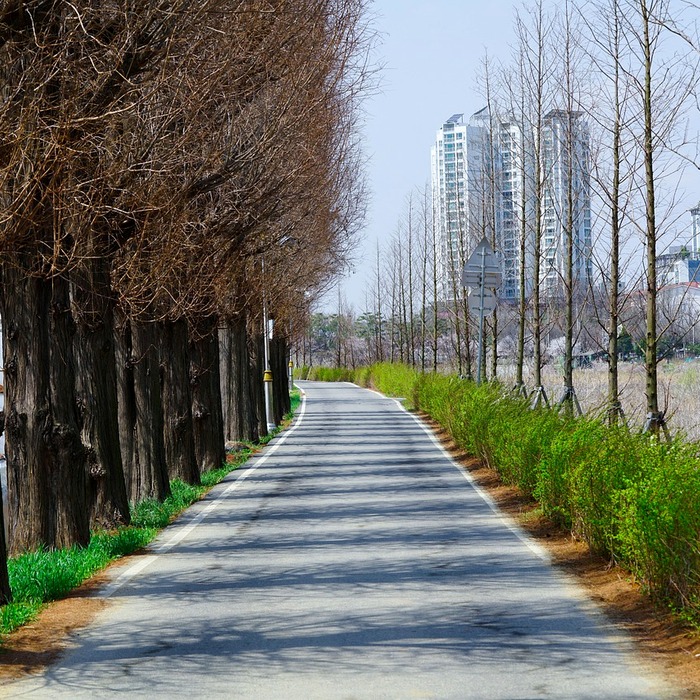 천관산 풍경