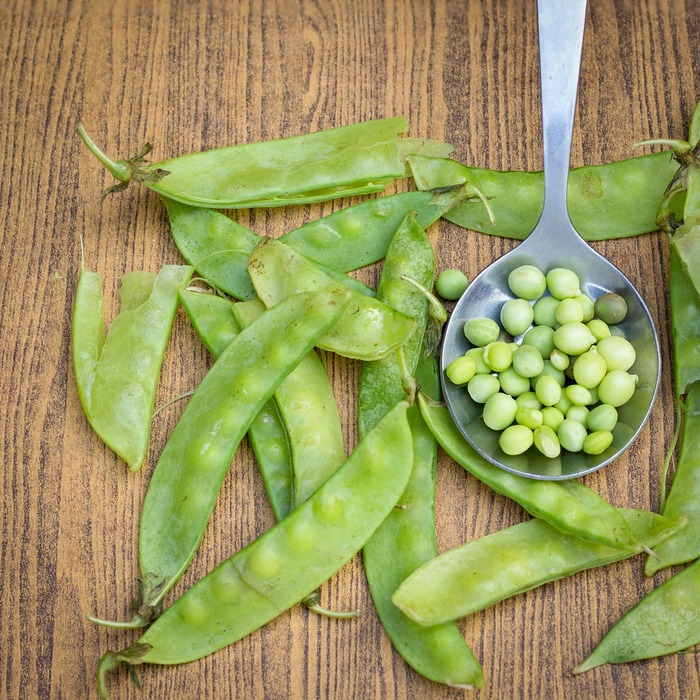 작두콩차 효능