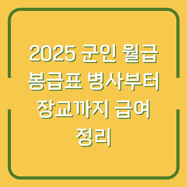 2025 군인 월급 봉급표 병사부터 장교까지 급여 정리